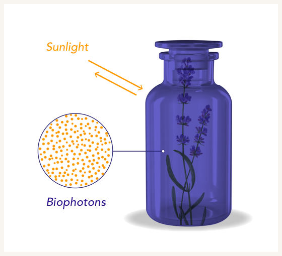 diagram of the interaction of the miron violetglass bottle and the sunlight